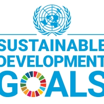 Logo Sustainable Development Goals, ABZ*AUSTRIA Winner of the UNPSA 2019